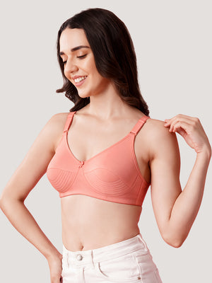 Pranika Non Padded Seamed Everyday Bra | Pack of 3-ROSE ROSE ROSE