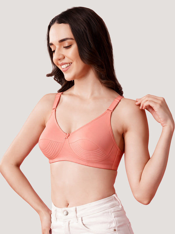 Pranika Non Padded Seamed Everyday Bra | Pack of 3-ROSE ROSE ROSE