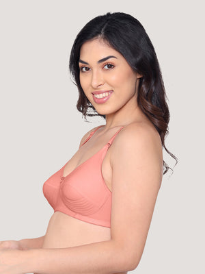 Pranika Non Padded Seamed Everyday Bra | Pack of 3 CREPE BLACK ROSE