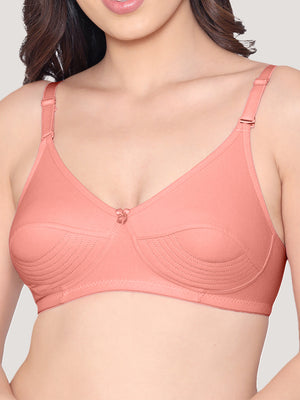 Pranika Non Padded Seamed Everyday Bra | Pack of 3-ROSE ROSE ROSE