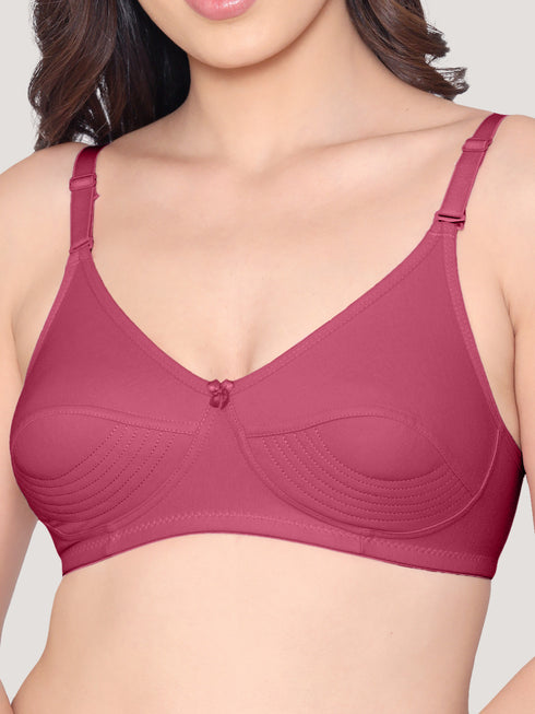 Kalyani Pranika Non Padded Cut & Sew Cups Everyday Bra | Pack of 3