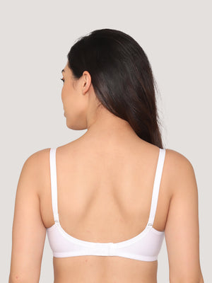 Pranika Non Padded Seamed Everyday Bra | Pack of 3-CAMEL WHITE ROSE BUD