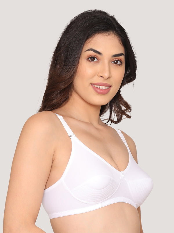 Pranika Non Padded Seamed Everyday Bra | Pack of 3 SKIN ROSE WHITE