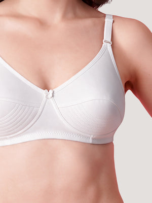 Pranika Non Padded Seamed Everyday Bra | Pack of 3-CAMEL WHITE ROSE BUD