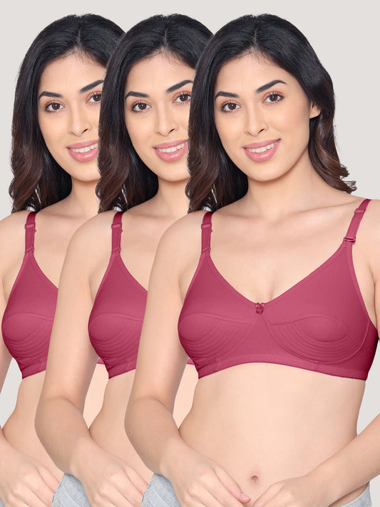 Pranika Non Padded Seamed Everyday Bra | Pack of 3-ROSE BUD ROSE BUD ROSE BUD