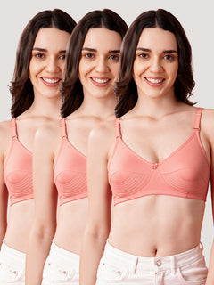 Pranika Non Padded Seamed Everyday Bra | Pack of 3-ROSE ROSE ROSE