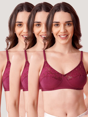 Deepali Non Padded Everyday Lace Bra | Pack of 3-ROSEBUD ROSEBUD ROSEBUD