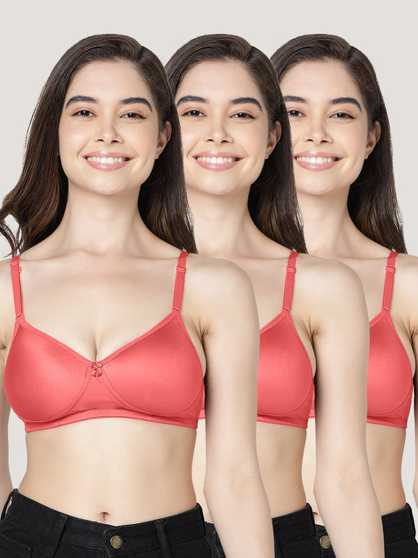 Maria Light Padded Fuller Cups Everyday Bra | Pack of 3-RUST 18 RUST 18 RUST 18