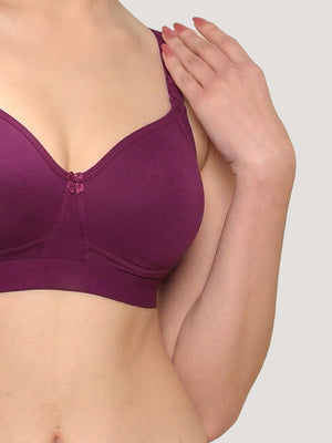 Kalyani Ashley Double Layered Seamless Cups Full Coverage Cotton Lycra Bra | Pack of 2 |ROSEBUD ROSEBUD