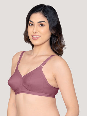 Damini Full Coverage Cotton Everyday Bra | Pack of 3-FAWN ONION BLACK