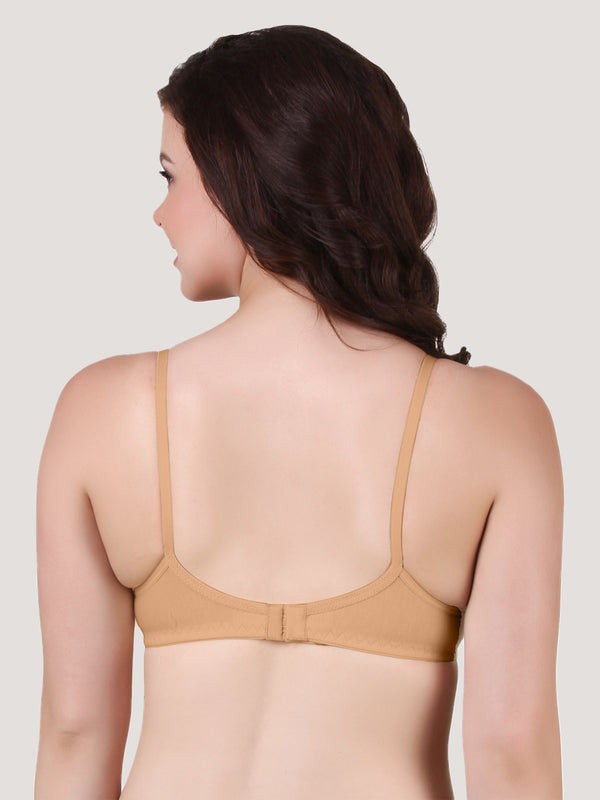 Manjari Heavy Foam Full Coverage Everyday Bra | Pack of 3-CAMEL CAMEL CAMEL