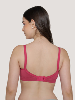 Tessa Full Support Seamless Designer Bra for Women Pack of 2-L.GREY D.RUST