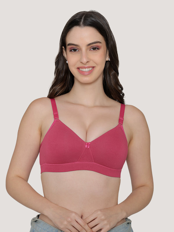Tessa Full Support Seamless Designer Bra for Women Pack of 2-L.GREY D.RUST