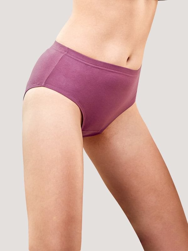 Theo Inner Elastic Hipster Panties | Pack of 3-ONION RUST ONION RUST ONION RUST