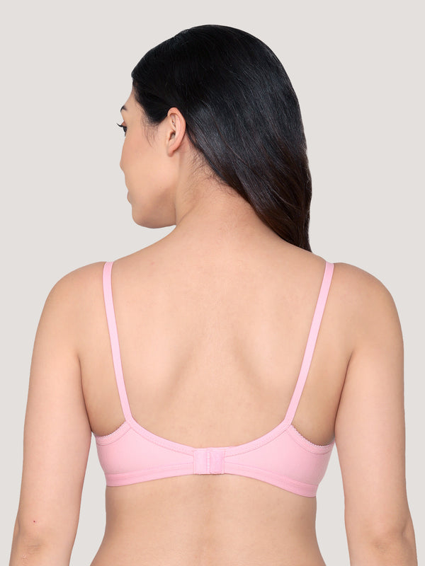 Vidhi Seamed Non-Padded Everyday Bra | Pack of 3-PINK PINK PINK