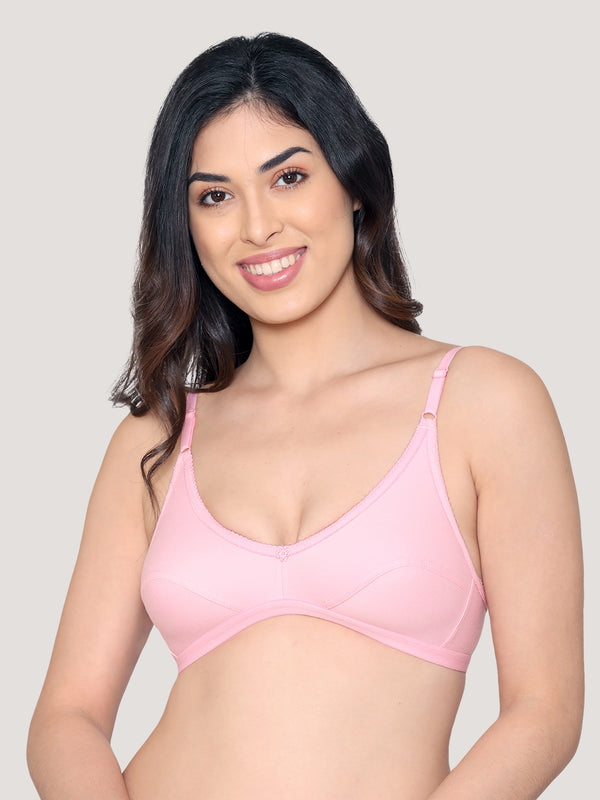 Vidhi Seamed Non-Padded Everyday Bra | Pack of 3-PINK PINK PINK