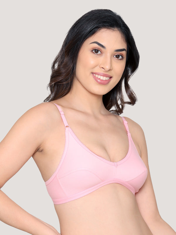 Vidhi Seamed Non-Padded Everyday Bra | Pack of 3-PINK PINK PINK