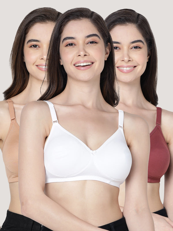 Evlyn Double Layered Cups Regular Bra | Pack of 3-WHITE CAMEL WINE