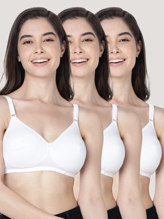Evlyn Double Layered Cups Regular Bra | Pack of 3 | WHITE WHITE WHITE