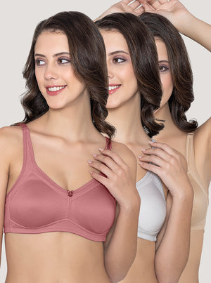 Martin Non-Padded Seamless Cups Moulded Bras with Cushioned Straps | Pack of 3 | WOOD ROSE CAMEL L.GREY