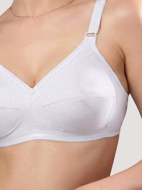 Damini Full Coverage Cotton Everyday Bra | Pack of 3-WHITE WHITE WHITE