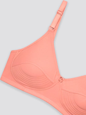Pranika Non Padded Seamed Everyday Bra | Pack of 3-ROSE ROSE ROSE